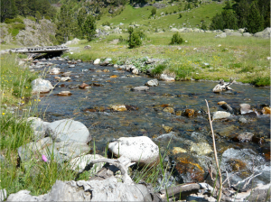 Screen Shot 2015-06-08 at 9.31.37 pm