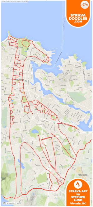 strava-giraffe